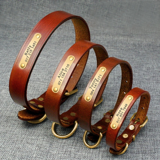 BaKay Tag — Personalised leather collar