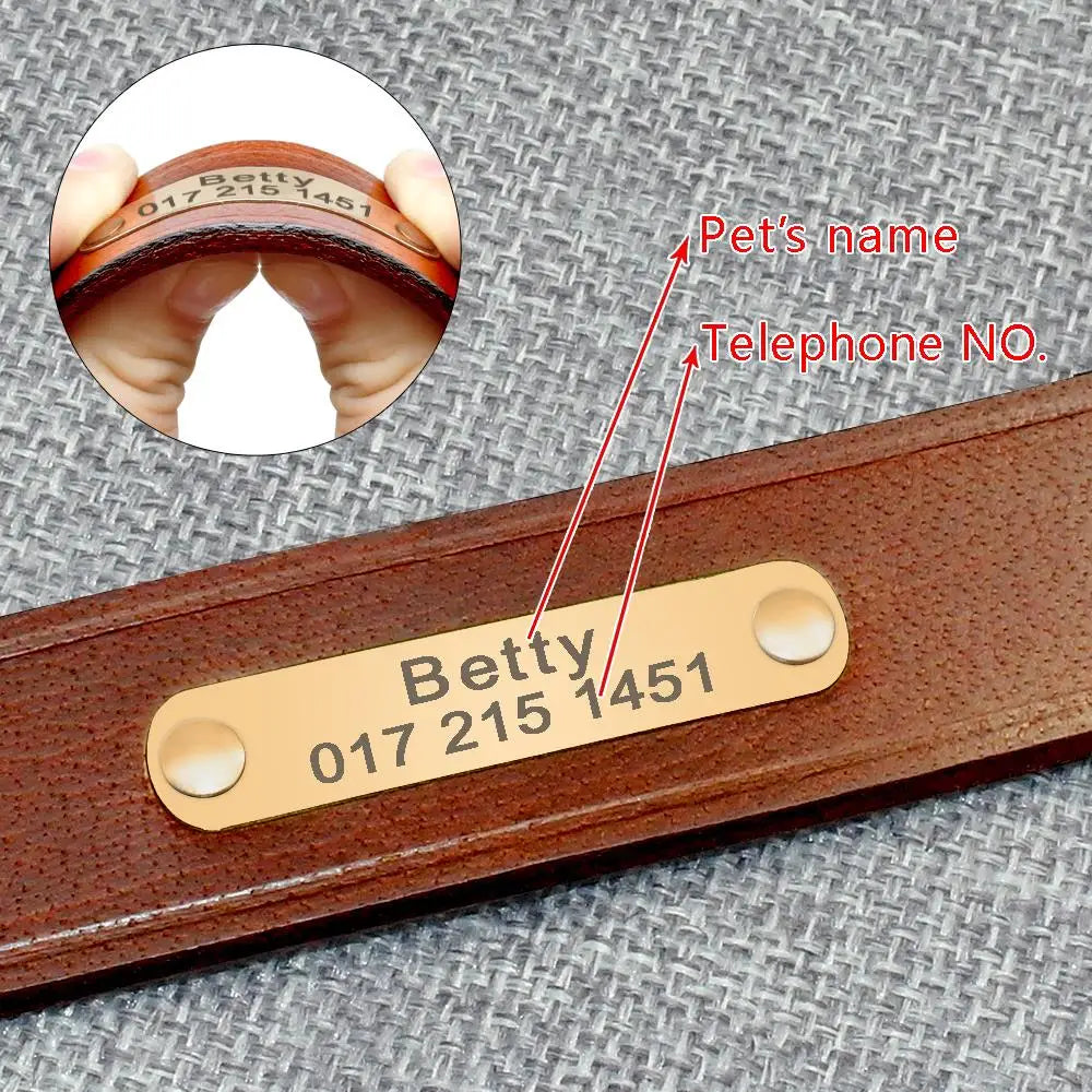 BaKay Tag — Personalised leather collar