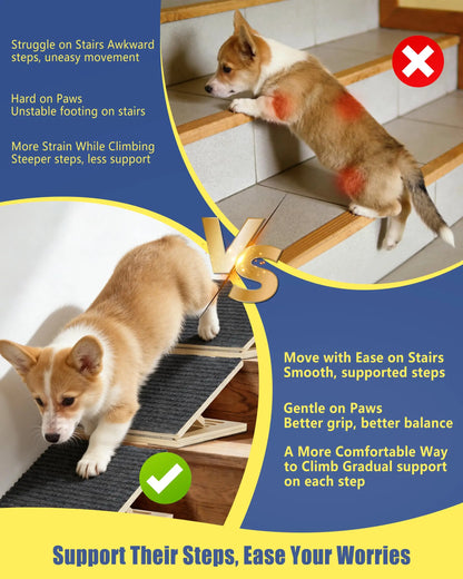 BaKay Degrau — Adjustable step ramp