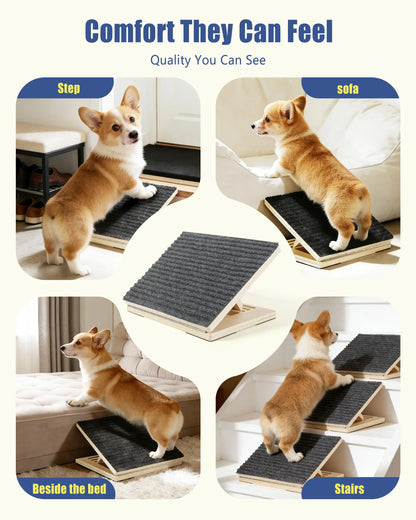 BaKay Degrau — Adjustable step ramp